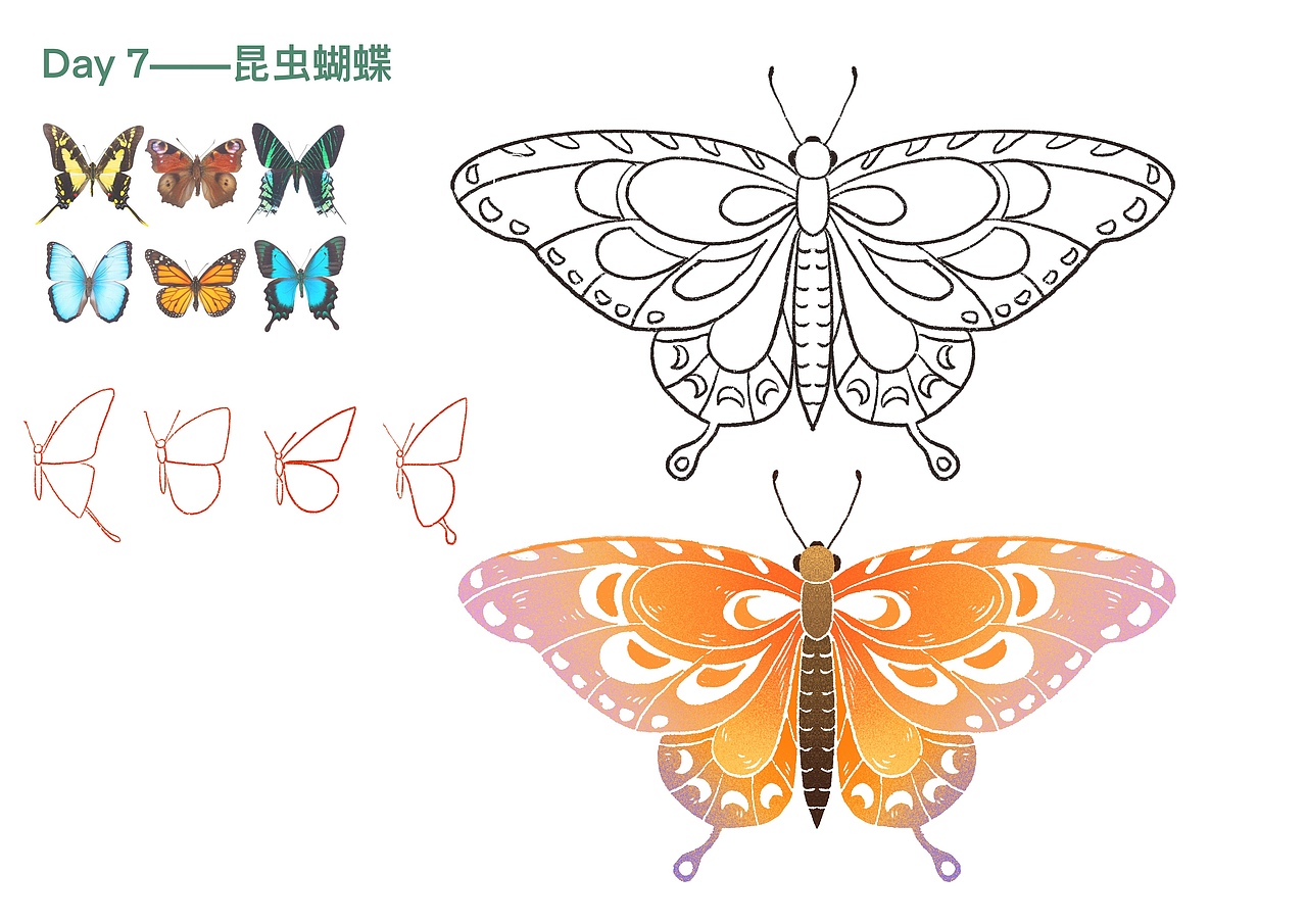 procreate基础插画15day免费课程分享（图ZMjAyNzExNDAw） - 商业插画 - 站酷设计师JingMa_静马原创素材 - 站酷ZCOOL