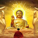 晴空68的头像