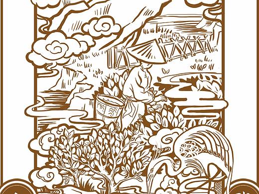 茶叶包装插画