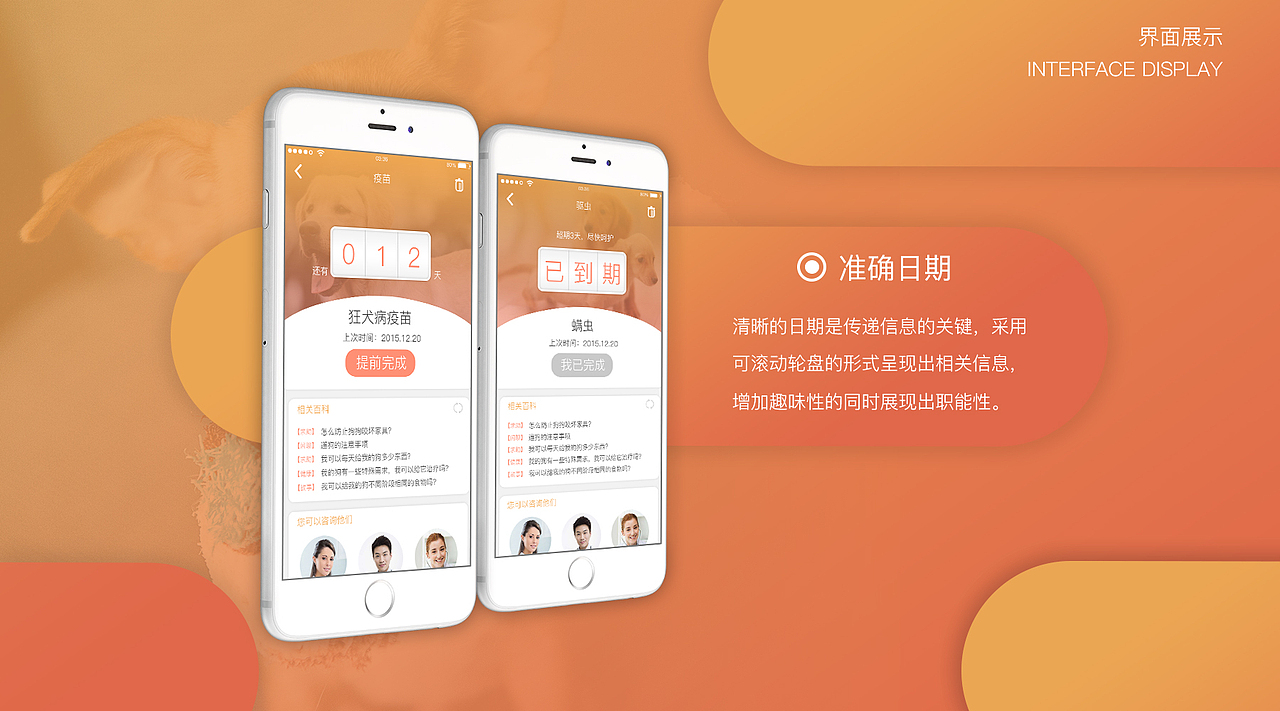 遛狗吧（图ZMTM0MTU4MDky） - APP界面 - 站酷设计师坏家伙额原创素材 - 站酷ZCOOL