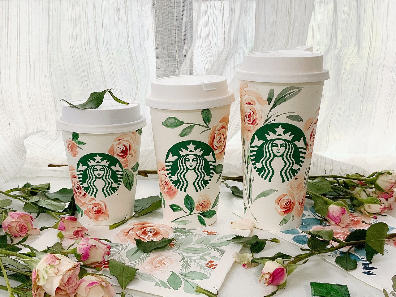 星巴克杯子插画设计