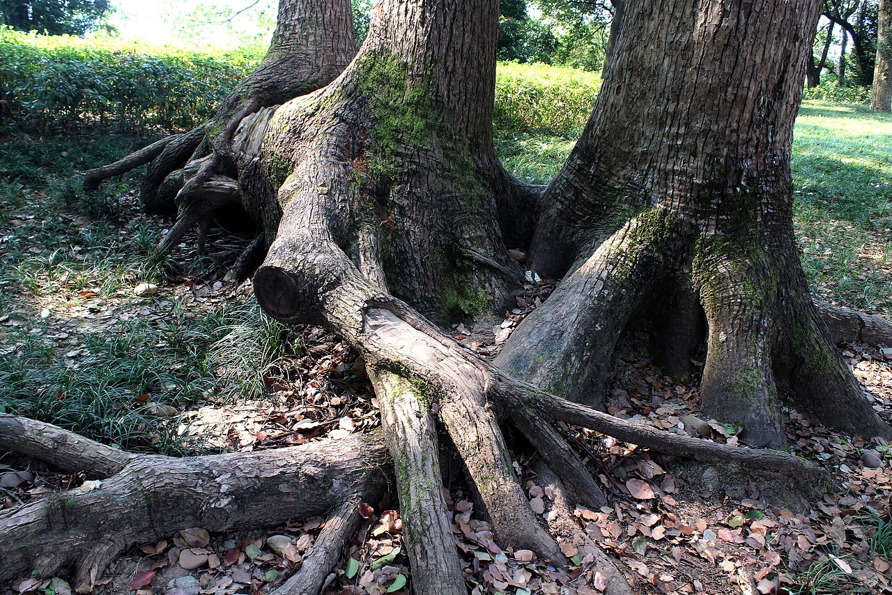 信丰县南山公园随拍