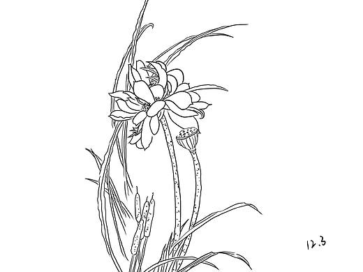 线条练习（临摹（个人主页-ZNTY3NDQ4MzI=） - 创作习作 - 站酷设计师Sunset_about原创素材 - 站酷ZCOOL