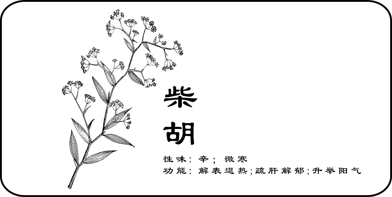 中草药手绘标示（图ZMzY3MjkwNzI=） - 创作习作 - 站酷设计师一二零七原创素材 - 站酷ZCOOL