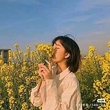 是南橘的头像
