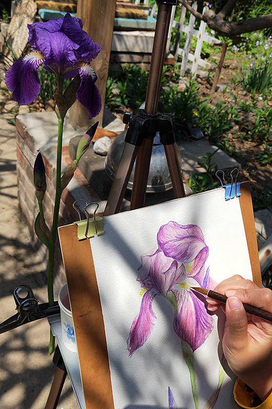 2019年4月速写和写生记录 (原创)