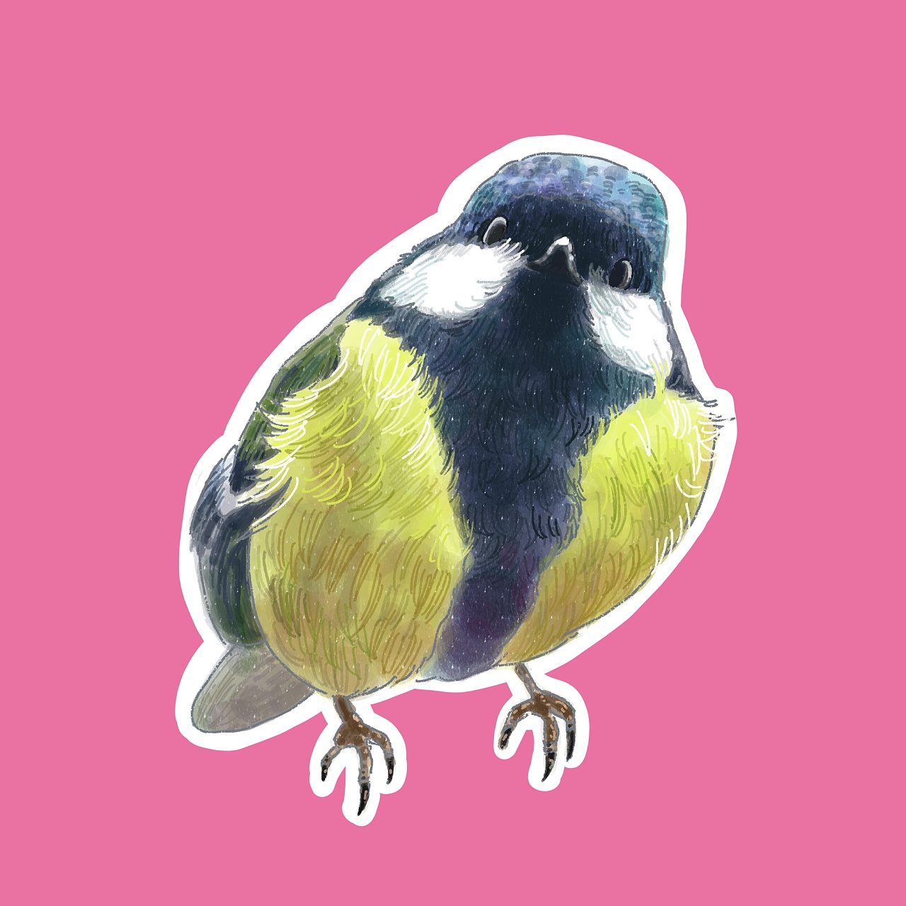 鸟类|插画|创作习作|song嘉奈 - 原创作品 - 站酷 (zcool)