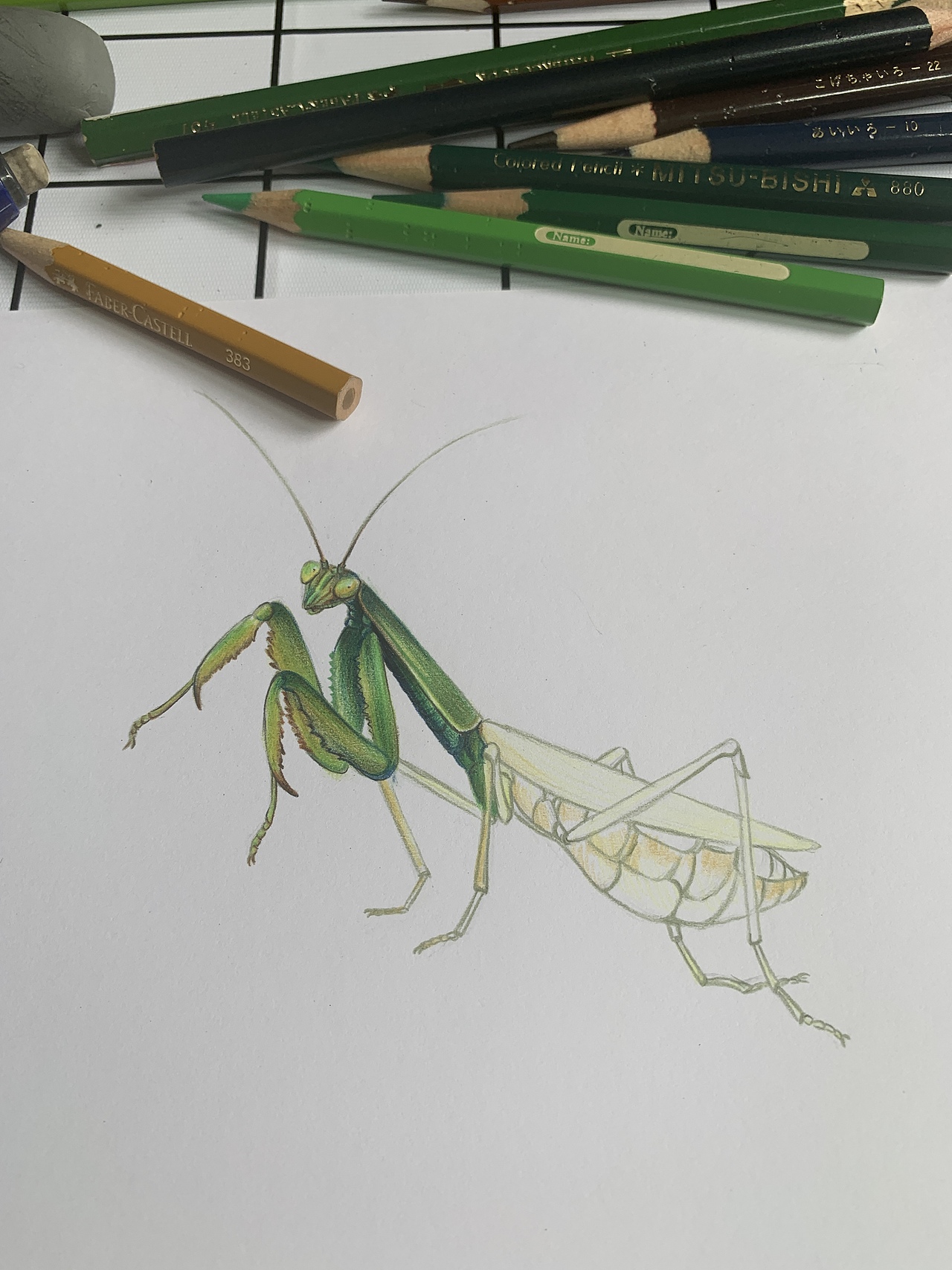 彩铅昆虫(内附过程图)