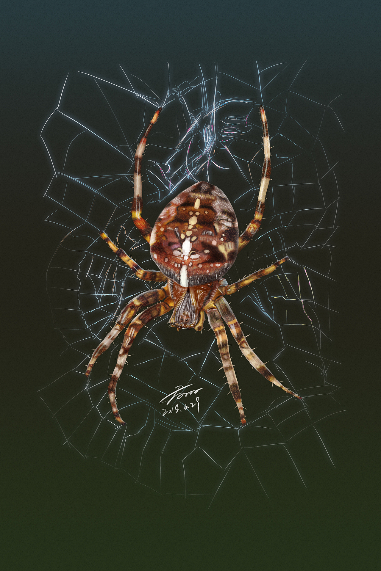 7月写实昆虫练习