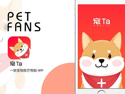 宠Ta-app  一款宠物医疗app