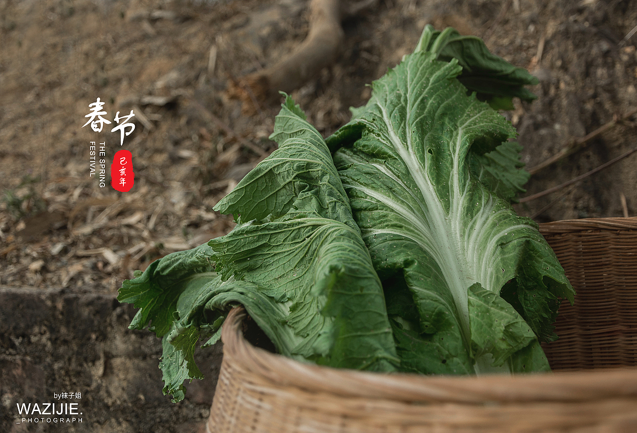 萝卜青菜 各有所爱