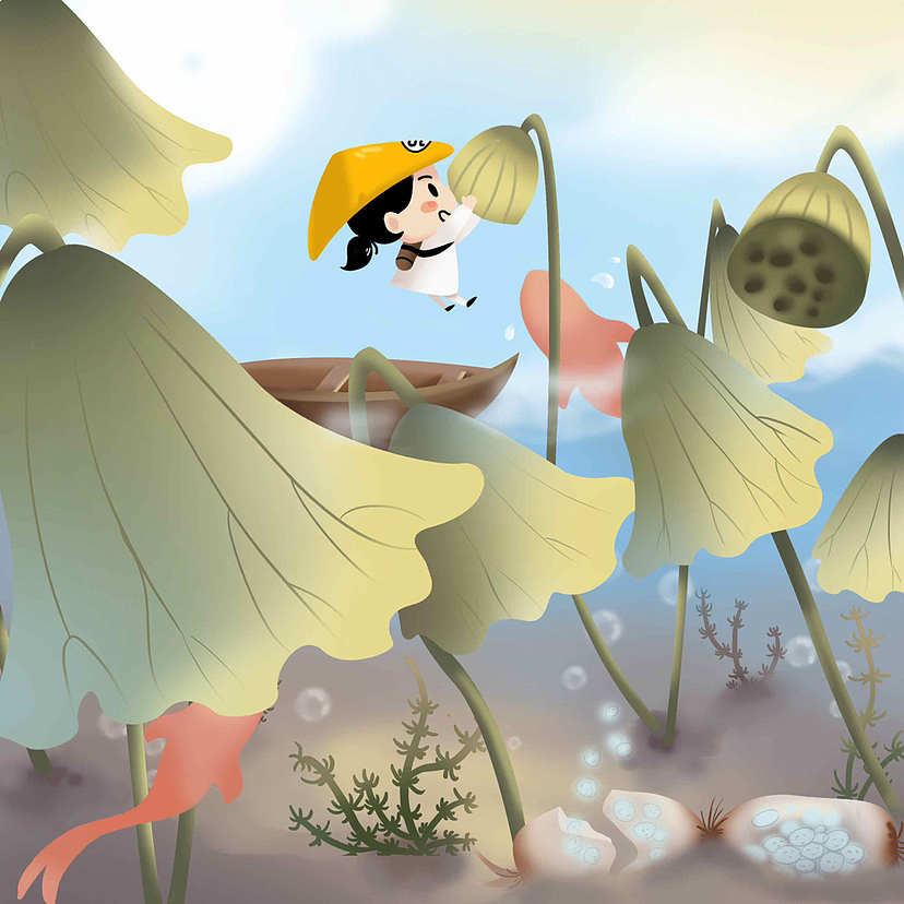 荷花相关知识科普系列插画