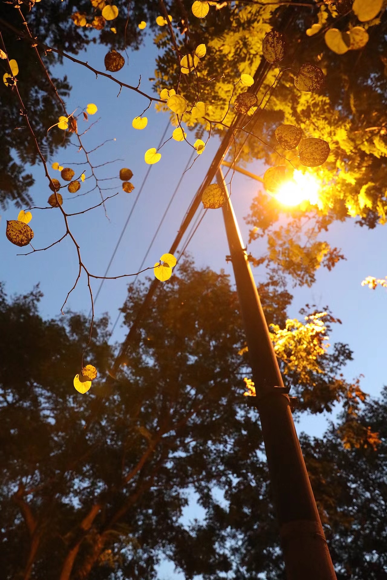 “光”（图ZMzM0NjY3OTg0） - 风光摄影 - 站酷设计师白白是日梦原创素材 - 站酷ZCOOL