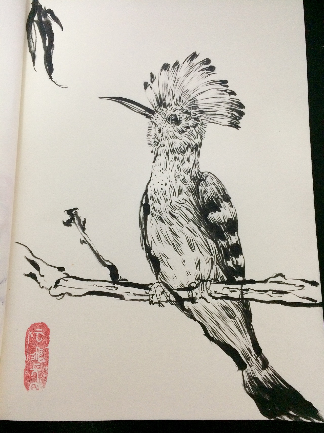 花卉植物动物线条水墨画