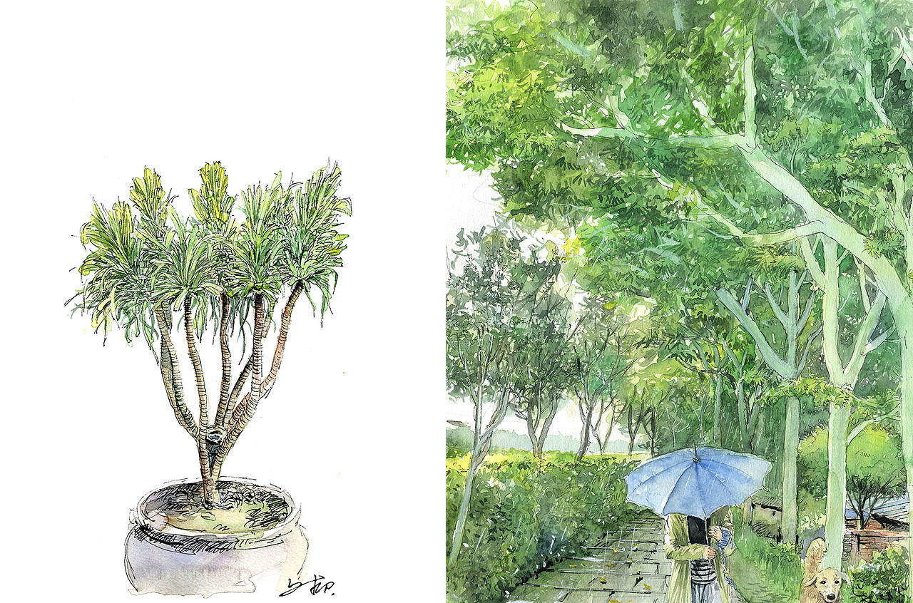 雨后新绿（图ZOTUyOTMyOTI=） - 艺术插画 - 站酷设计师文抑原创素材 - 站酷ZCOOL