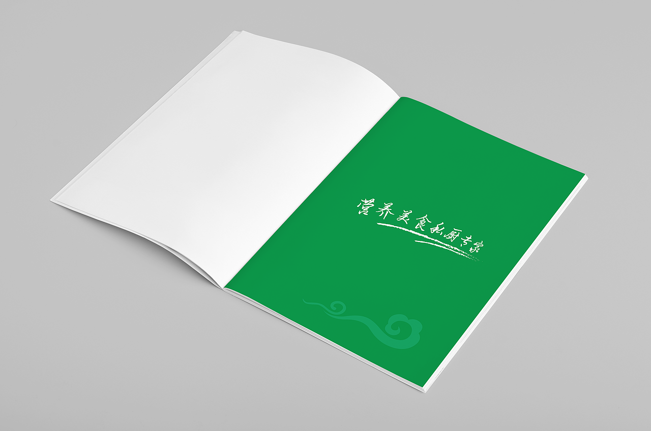 清真食品企业画册——肥尸的菜鸟之路 第一期