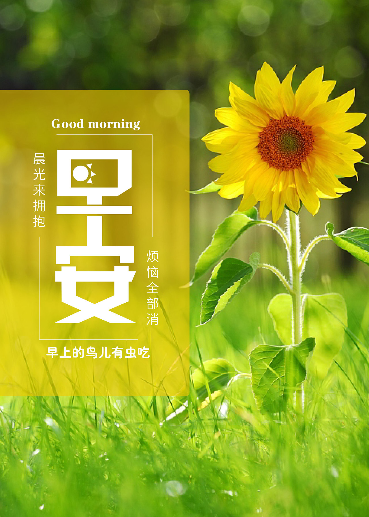 海报（图ZMjI4NDU3NTQw） - 海报 - 站酷设计师0utsider666原创素材 - 站酷ZCOOL