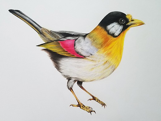 钢笔画 老房子|纯艺术|绘画|dangeram_临摹作品-站酷(zcool)