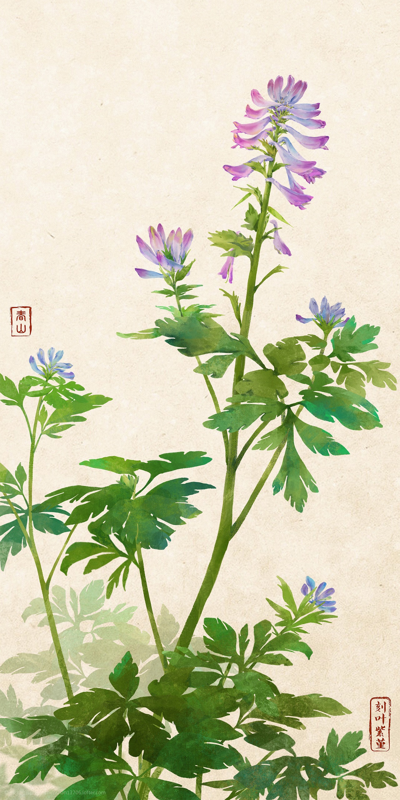 苏州四季野花（图ZMjczMDU4Nzc2） - 商业插画 - 站酷设计师伟大的春山君原创素材 - 站酷ZCOOL