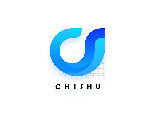 驰数 logo