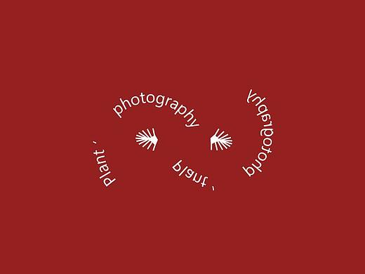 Plant Photography Web Design