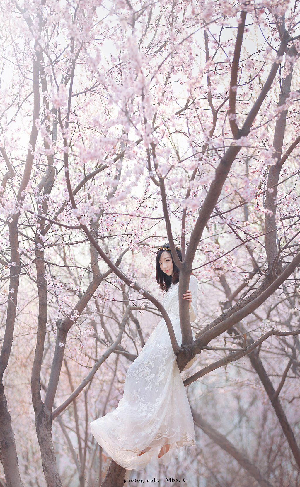 繁花（图ZMTUyOTM4NzI=） - 人像摄影 - 站酷设计师摄影师蝈蝈小姐原创素材 - 站酷ZCOOL