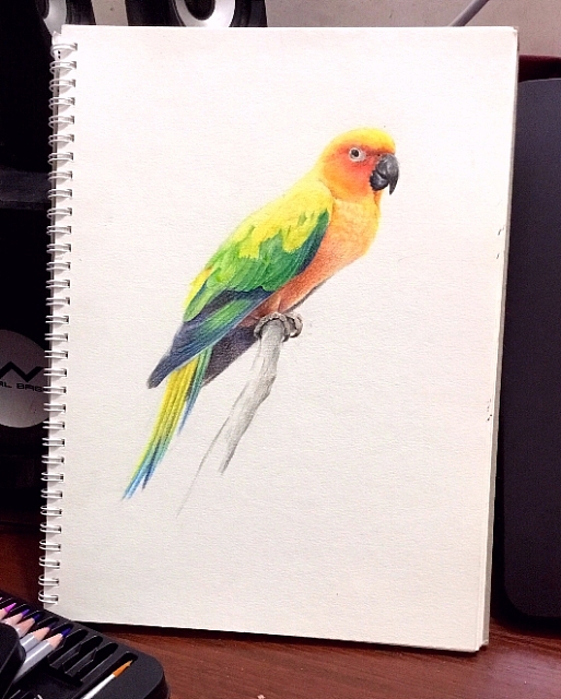 手绘系列 彩铅 素描（图ZMTY3OTk0MjUy） - 绘画 - 站酷设计师zaigo原创素材 - 站酷ZCOOL