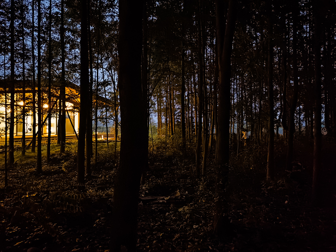 中国好粮油展示中心,四川 / 小隐建筑