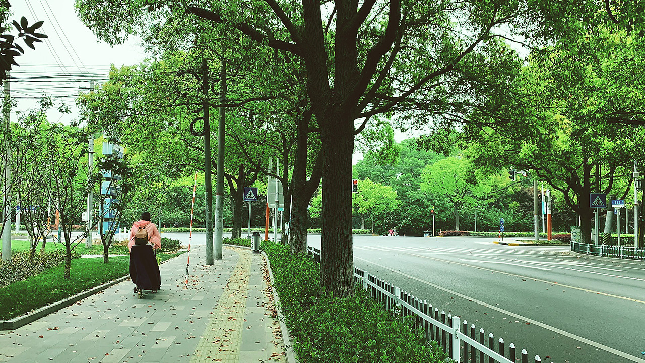 五月上海（图ZMTU4NjgxNTA4） - 风光摄影 - 站酷设计师荼蘼y原创素材 - 站酷ZCOOL