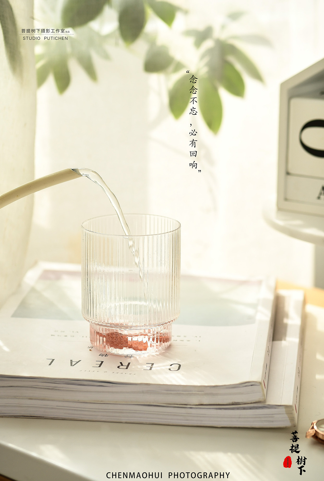 压糖片和秘密菌（图ZMjMzMzU0NjY0） - 产品摄影 - 站酷设计师摄影师陈茂辉原创素材 - 站酷ZCOOL