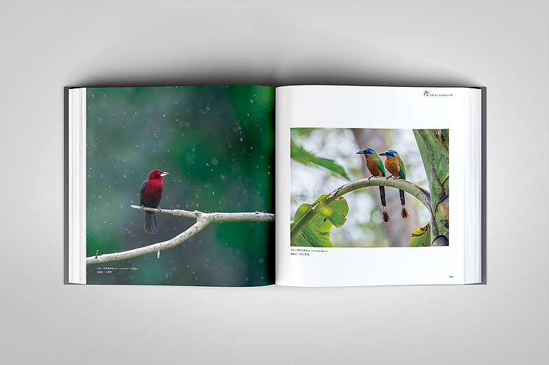 平面设计-摄影类画册