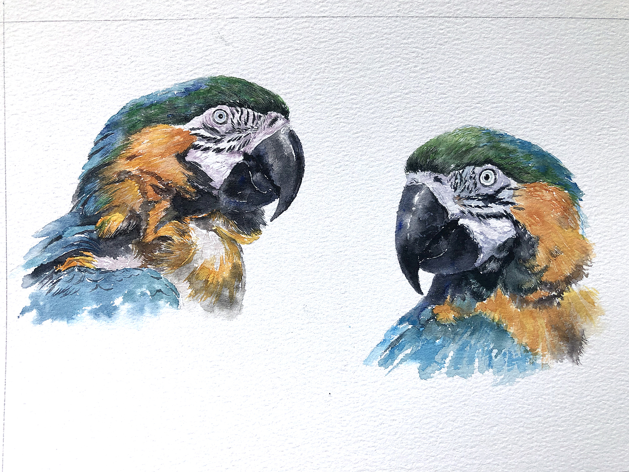 一组水彩作品 广州的朋友有机会一起交流（图ZMjA2ODk0NTIw） - 其他 - 站酷设计师只会画车的男孩原创素材 - 站酷ZCOOL