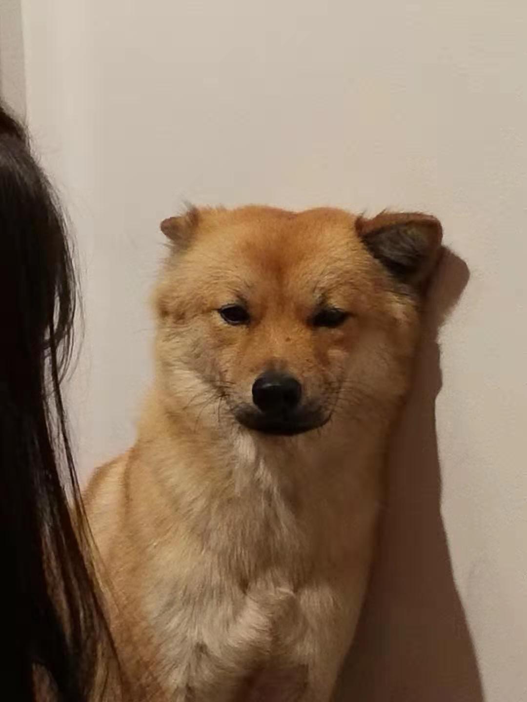 摄影观光（图ZMjUyMzU1NjI4） - 风光摄影 - 站酷设计师C肉肉原创素材 - 站酷ZCOOL