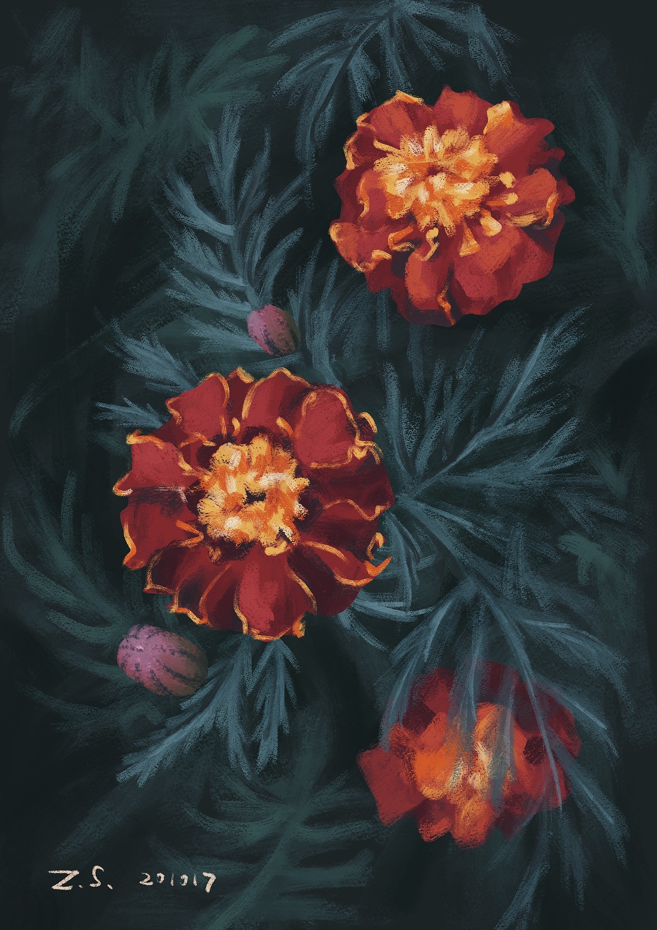 朋友发给我的fafa