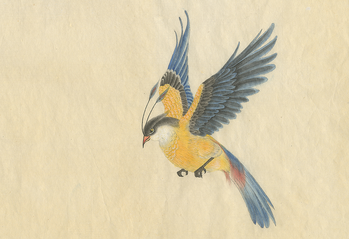 （by 老三）派格元年（2011-2012）（圖ZMzk0MTYzNjA=） - 藝術插畫 - 站酷設計師老三叁原創(chuàng)素材 - 站酷ZCOOL