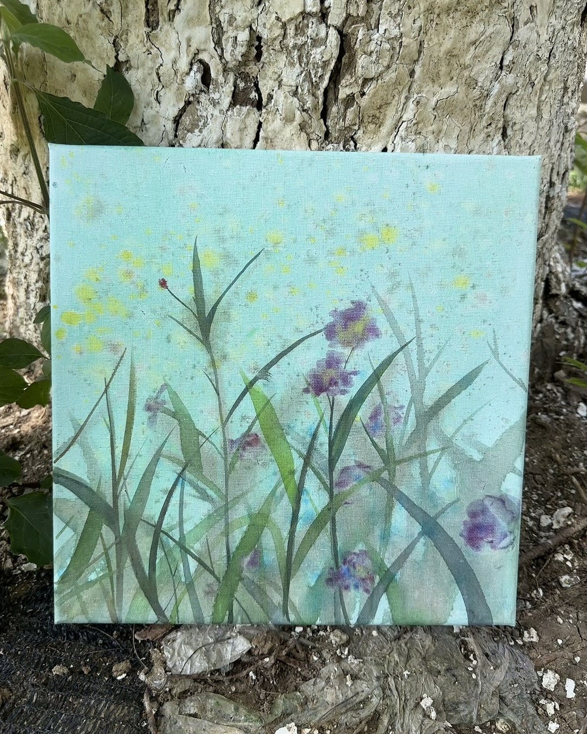 百草丰|草漾30*30