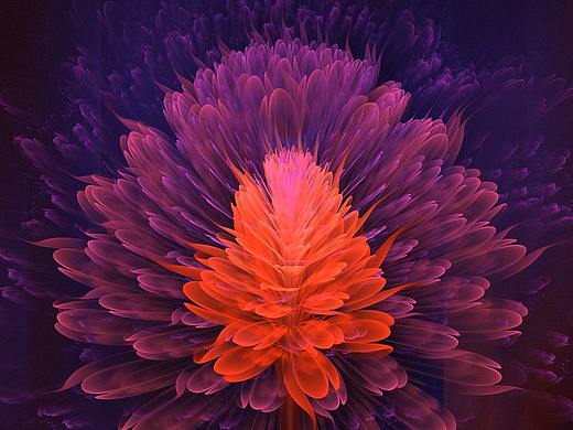 分形(Fractal)第六十一辑