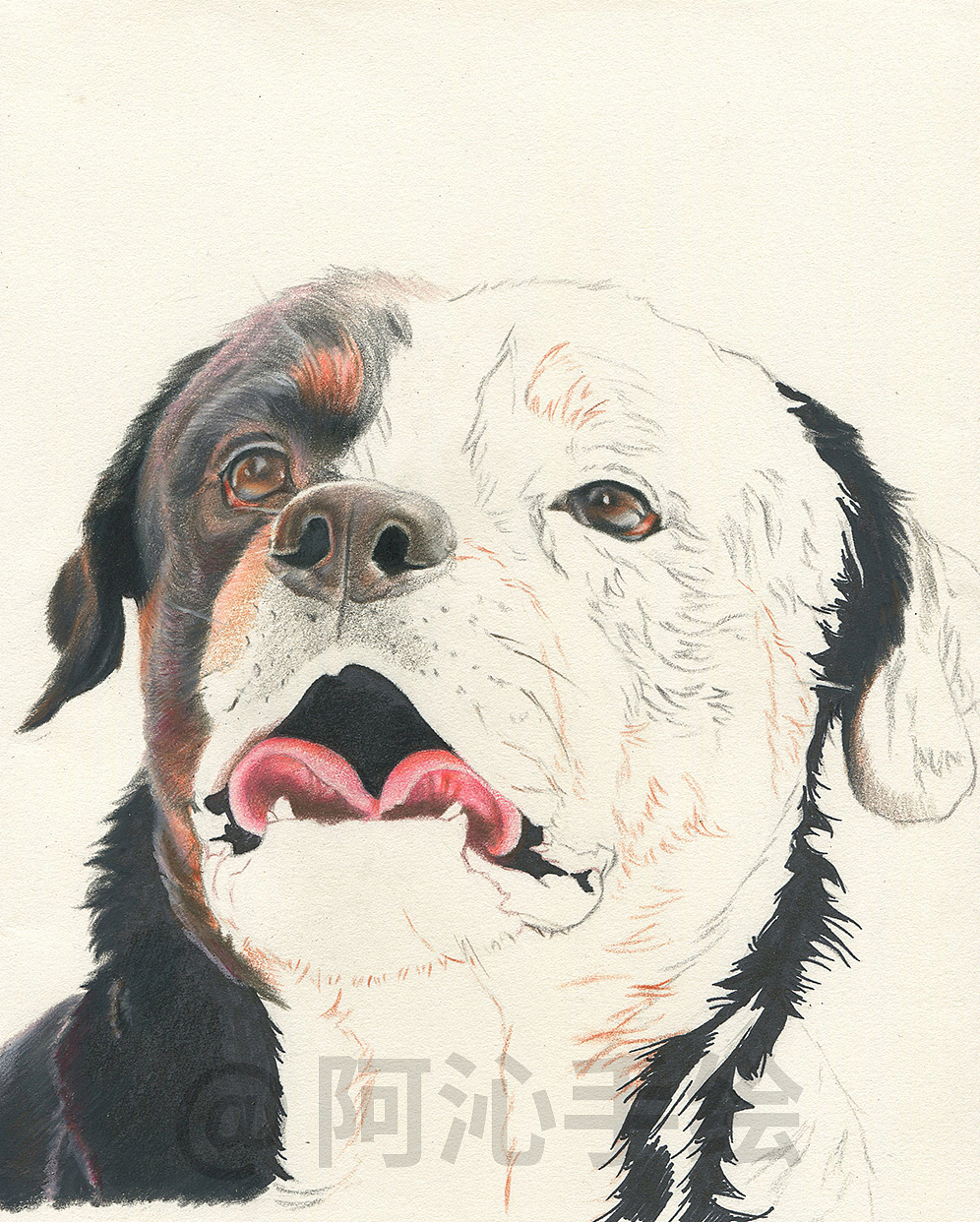 在创作中 活出自己的本来面目