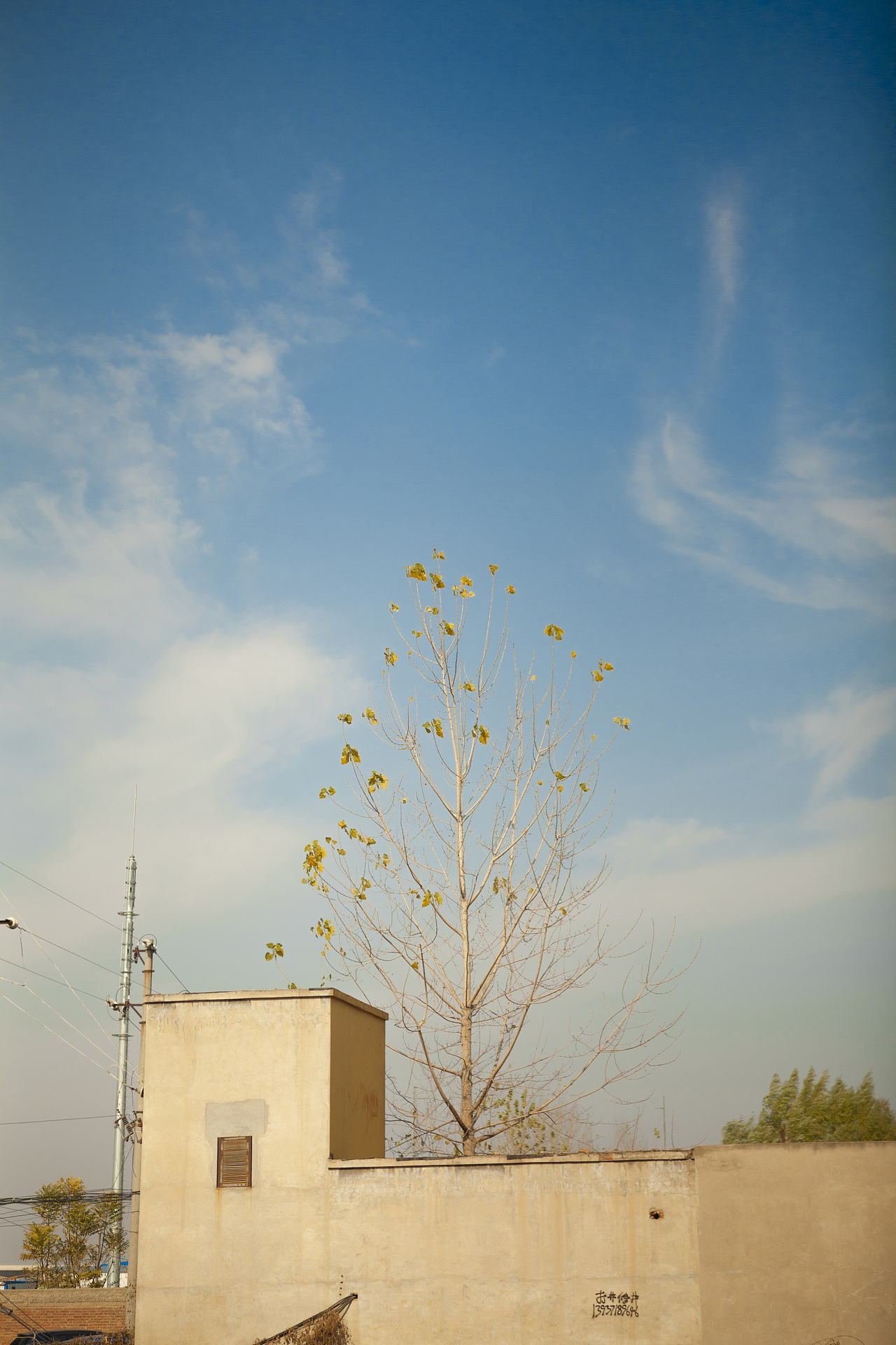 Canon日常练习(二)