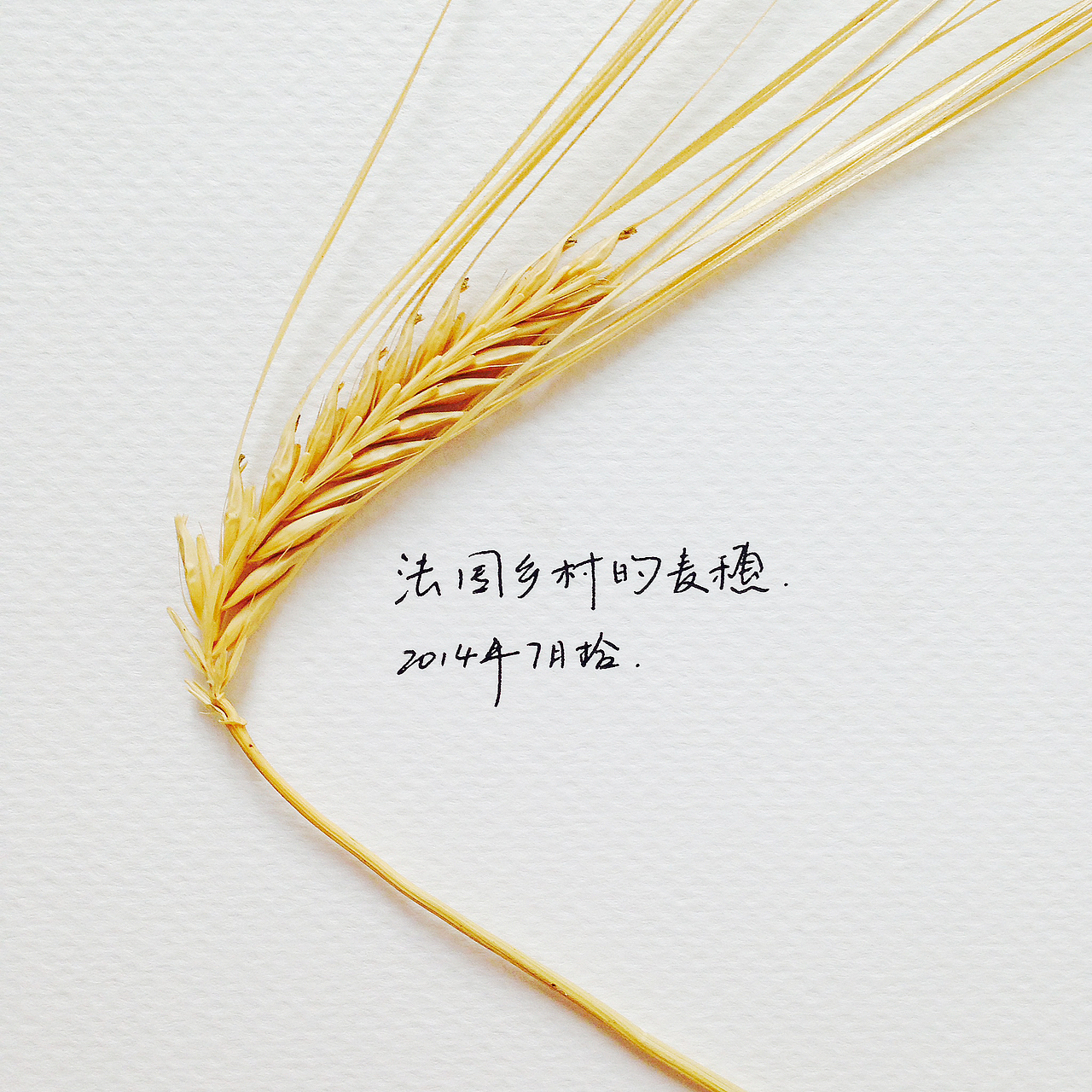 我最好的作品就是我的生活。（图ZMjY3OTIyNDQ=） - 产品摄影 - 站酷设计师文静林林原创素材 - 站酷ZCOOL