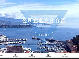 界面参考