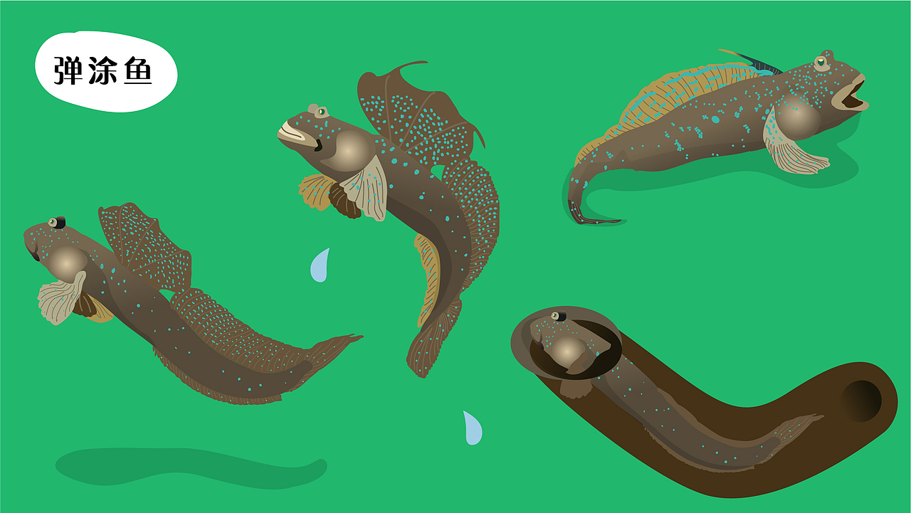 深圳湾公园湿地主题解说牌