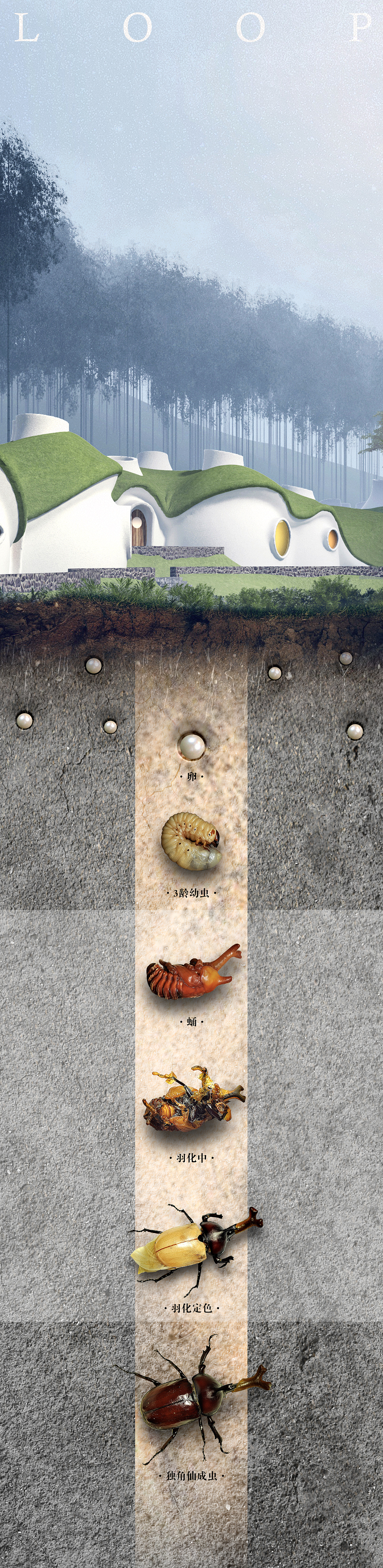 建筑与自然共生 . 离梦想又近一步!! !