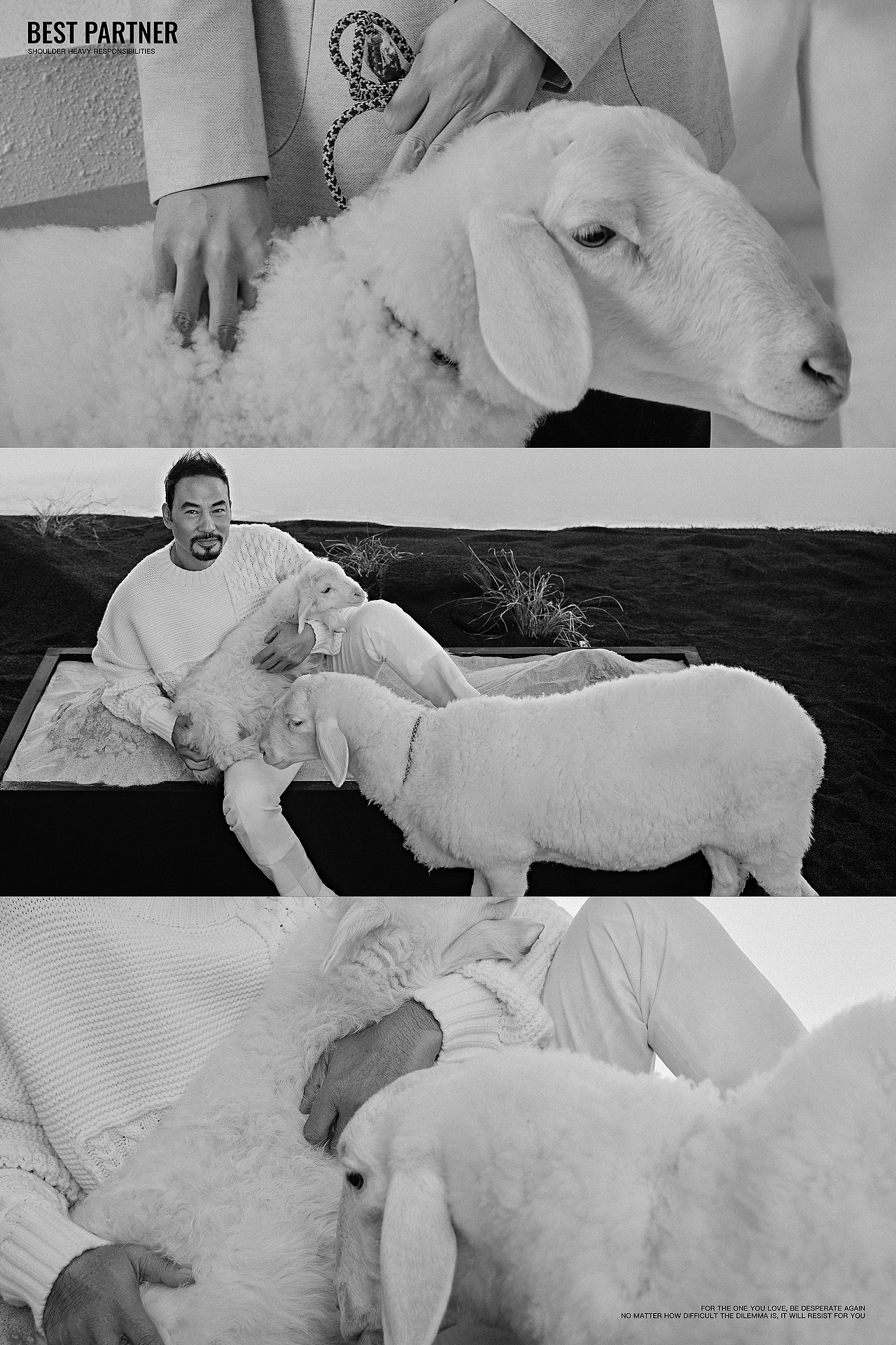 任達華 肖央 戴墨｜广告人像摄影｜误杀2｜商业拍摄（图ZMjgzODQ2MTM2） - 人像摄影 - 站酷设计师就爱吃青菜原创素材 - 站酷ZCOOL