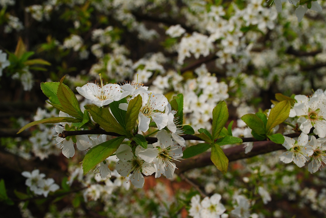 那些很美的地方不属于我（图ZNTMyMDkwMA==） - 风光摄影 - 站酷设计师欧阳紫嫣原创素材 - 站酷ZCOOL