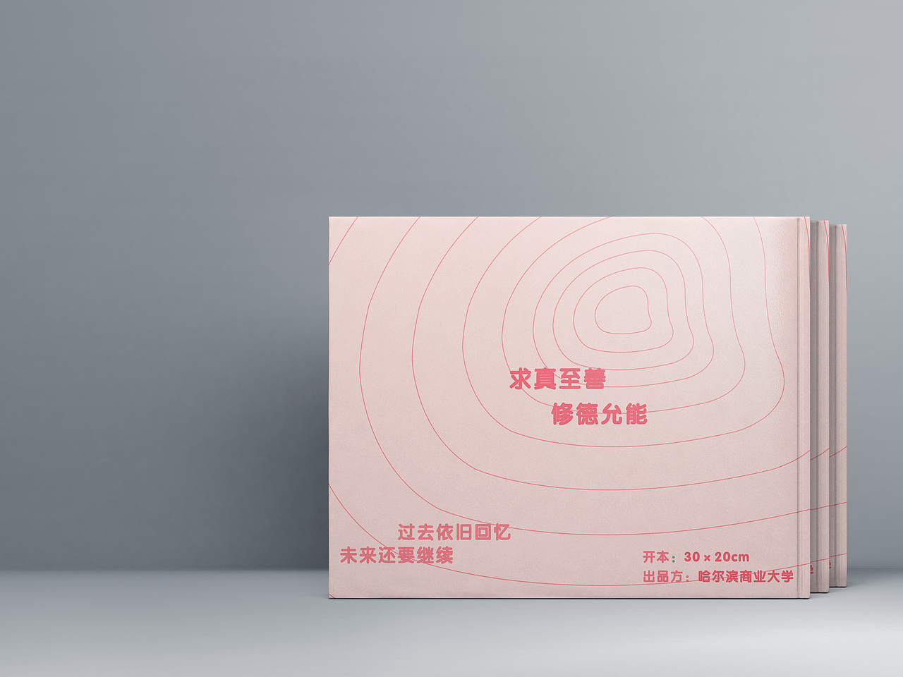 vi 2 哈尔滨商业大学70周年校庆vi设计（图ZMjMwNjI2NTA4） - 包装 - 站酷设计师陈啵啵啵原创素材 - 站酷ZCOOL