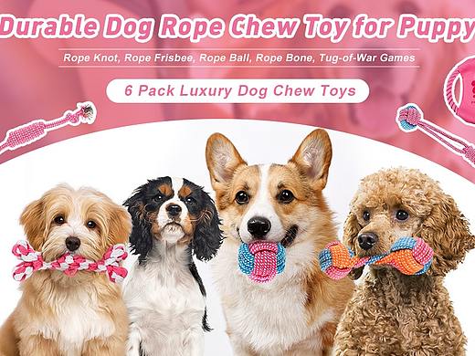 亚马逊宠物玩具主图&A+