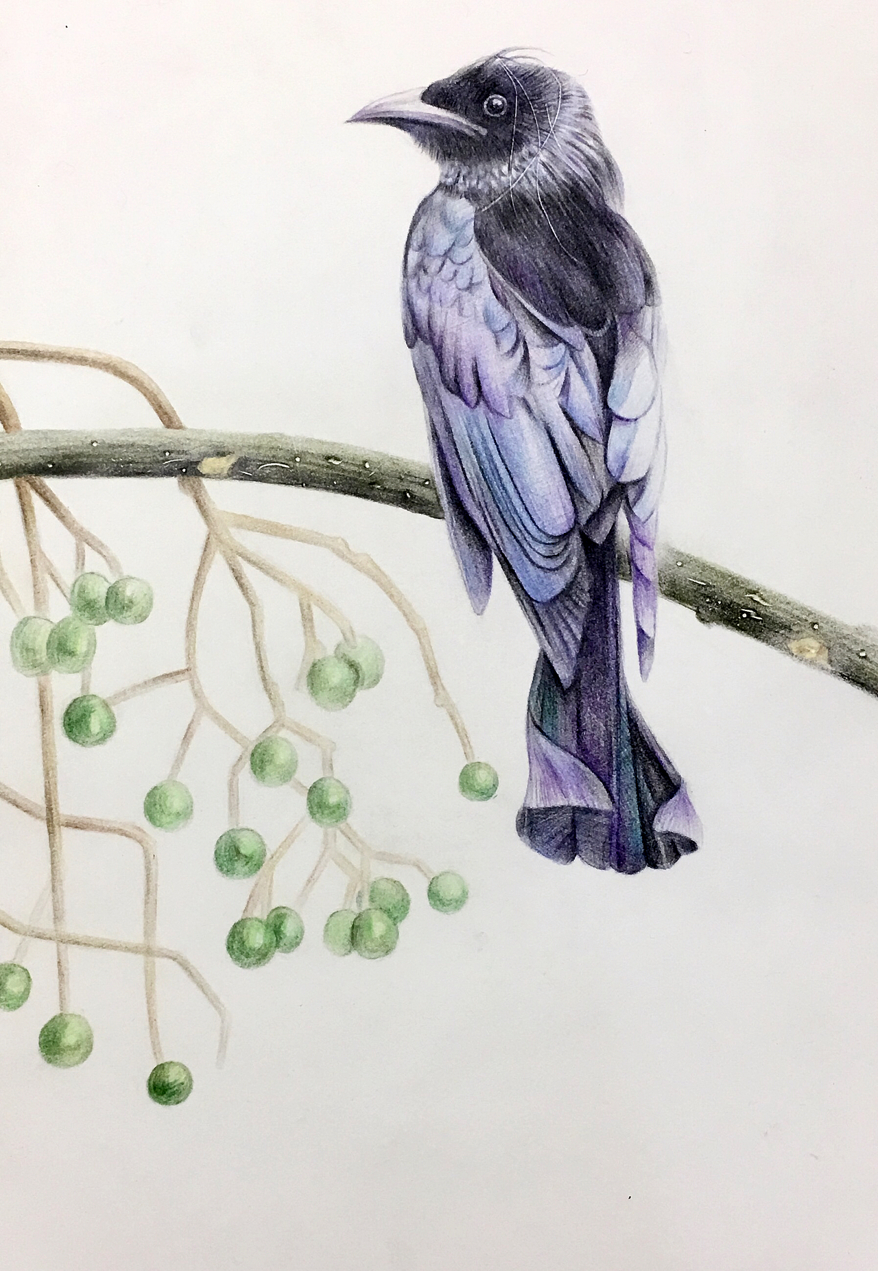 每天进步一点点