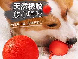 宠物活动页
