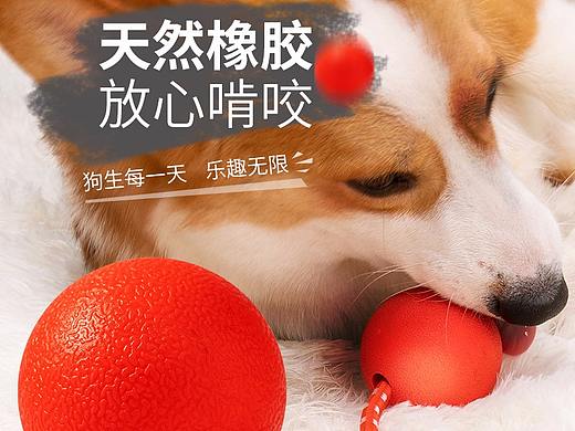 宠物用品